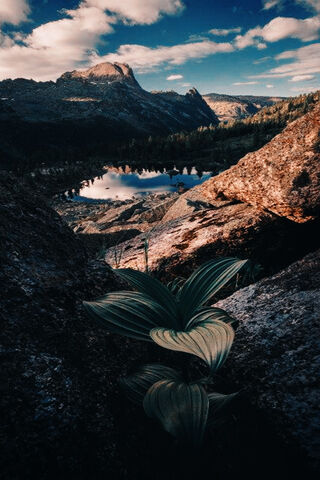 Caucasian Nature