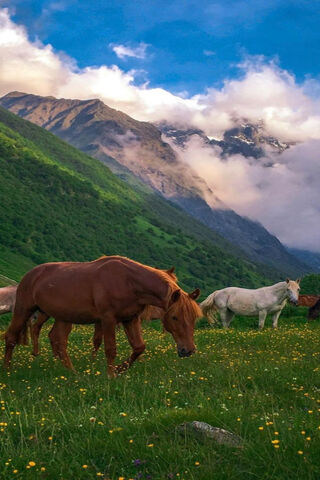 Majestic Serenity of the Chechen Mountains 🌄🐎