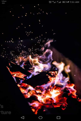 Dancing Flames: A Night of Fireworks