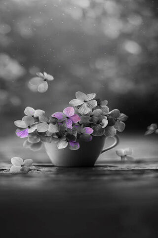 Whispers of Spring 🌸