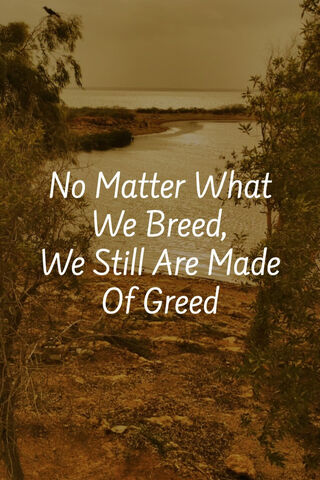 Nature's Reflection: The Cost of Desire 🌅