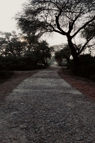 Pathway to Nature's Symphony: Ghana Bird Century