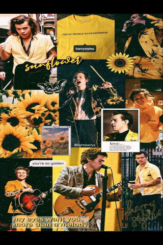 Sunflower Vibes with Harry Styles 🌻🎶