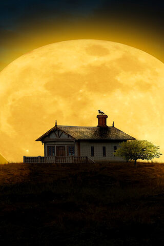 Lunar Serenity: A House Under the Moonlight
