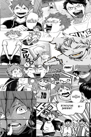 Hinata Shoyo Manga