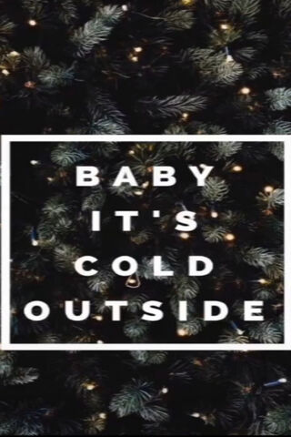 Winter Whispers: Embrace the Chill ❄️✨