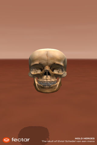 Kafa: The Enigmatic Skull of Elvist 🦴✨