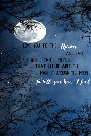 Moonlit Affection 🌙❤️