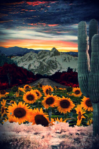 Nature's Palette: A Journey Through Landscapes 🌄🌻