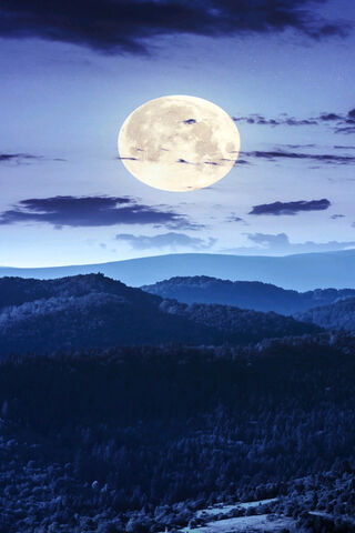 Whispers of the Night Sky 🌙✨