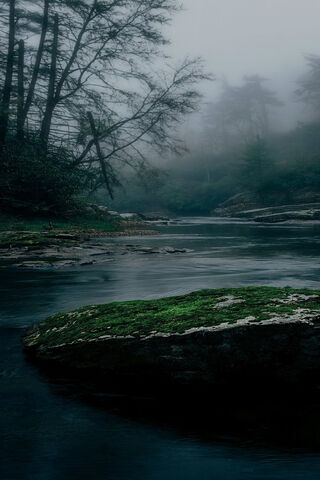 Mystical Serenity: A Foggy River Retreat 🌫️🌊