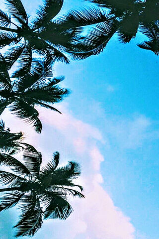 Tropical Serenity 🌴☀️