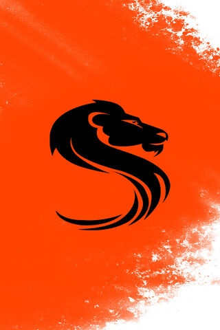 Roaring Resilience: The Spirit of SAVING 02