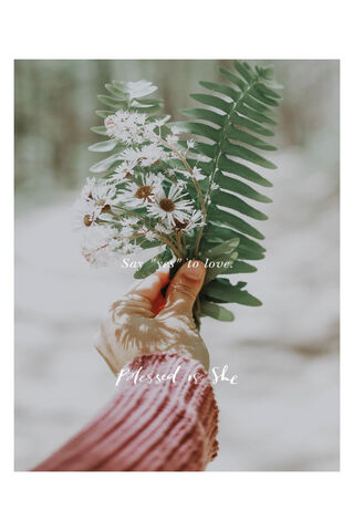 Embrace the Beauty of Love 🌸✨