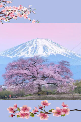 Blossoms of Serenity: The Sakura Tree