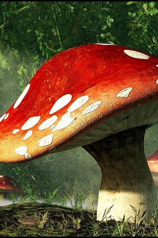 Shroom