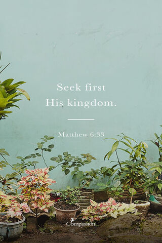 Cultivating Faith in Every Corner