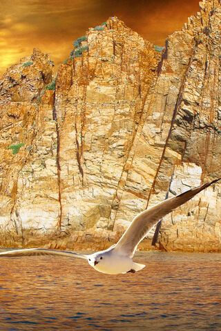 Seagull And Mountain