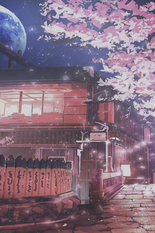 Moonlit Blossoms: A Night Under the Sakura