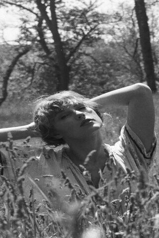 Whispers of the Meadow 🌼✨