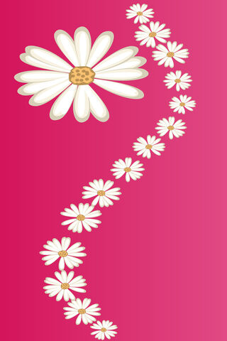 Daisy Delight: A Floral Journey 🌼✨