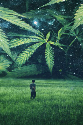 Cosmic Green: The Harmony of Nature and Light 🌱✨