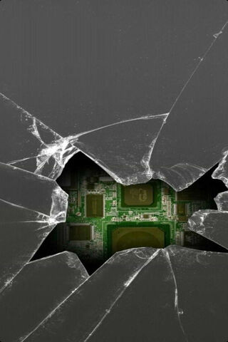 art terrestrial plant