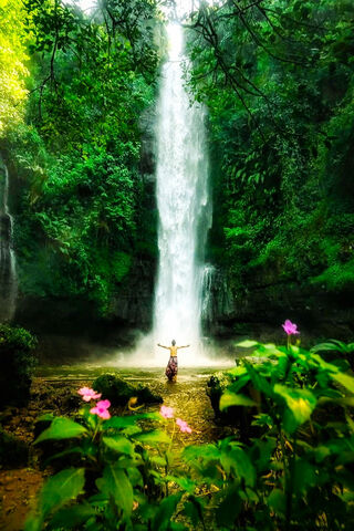 Nature's Embrace: The Serenity of Waterfalls 🌿💦