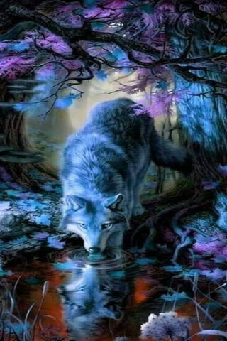 Mystical Reflections: The Enchanted Forest
