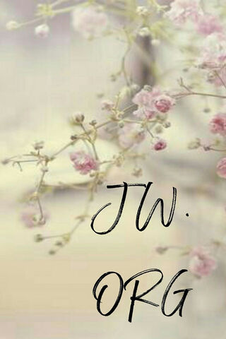 A Touch of Serenity: The JW.org Connection 🌸