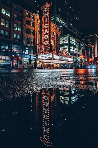 City Lights: A Reflection of Chicago's Charm 🌆✨