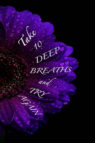 Breathe Easy: A Moment of Serenity 🌸✨