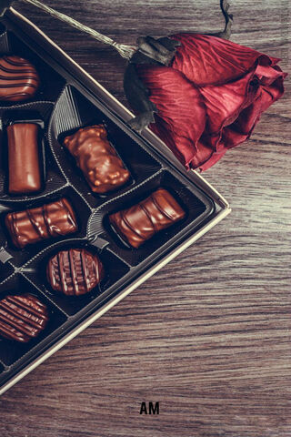 Choco Delight: A Sweet Romance 🍫🌹