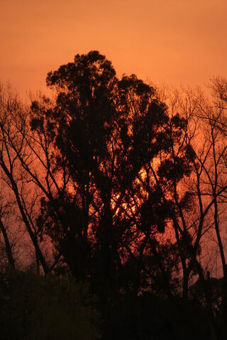 Atardecer