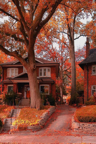 Autumn Toronto Canada