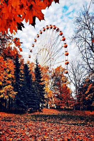 Autumn Whirl: A Ferris Wheel in Fall's Embrace 🎡🍂