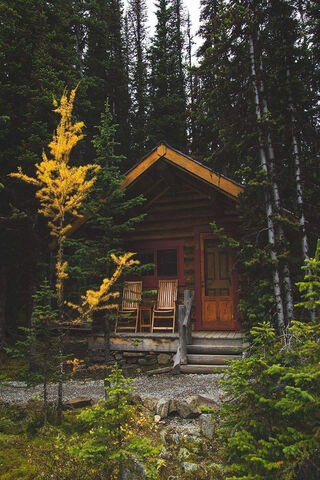 Cozy Retreat in Nature 🌲🏡