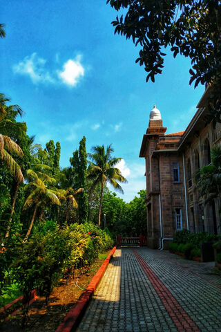 Pathway to Knowledge 🌳📚