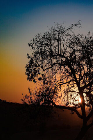 Serenity at Dusk 🌅