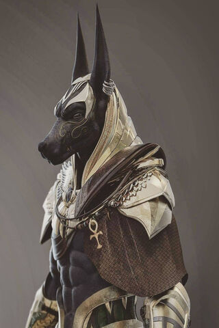 Guardian of the Afterlife: The Anubis Mummy