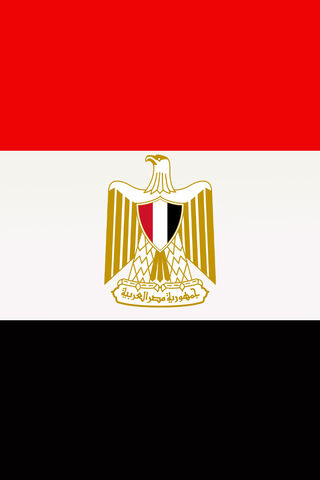 The Symbol of Egypt: Unity and Heritage 🇪🇬