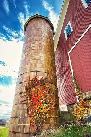 Autumn Charm at the Farm 🌾🍂