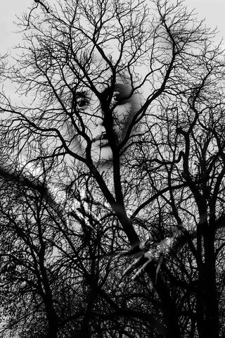 Whispers of Nature: The Hidden Face