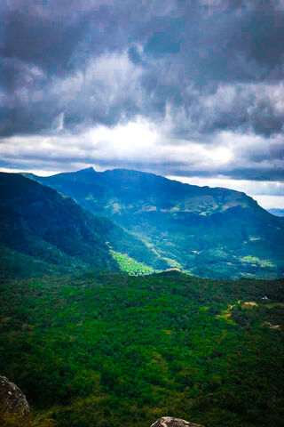 Forest Sri Lanka