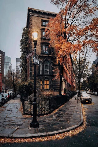 Autumn Serenity 🍂🏙️