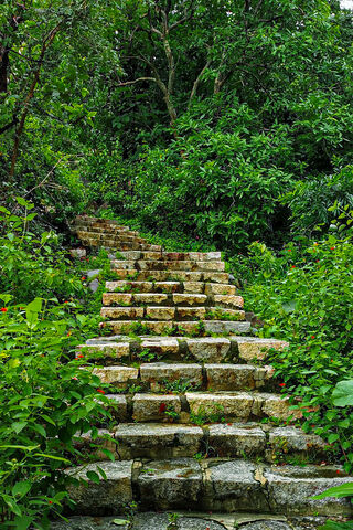 Journey to the Summit: The Path of Girnar 🌄🌿