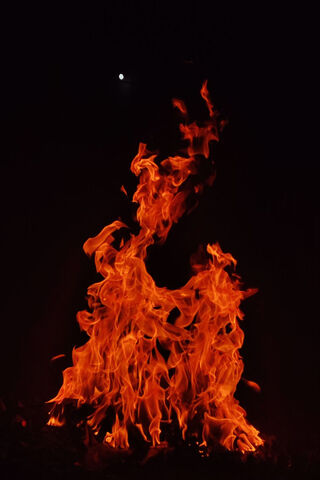 Embers of Joy: Celebrating Bhogi