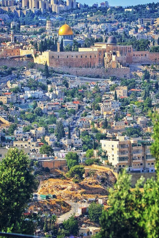 The Golden City: A Glimpse of Jerusalem's Timeless Beauty 🌅