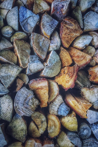 Logs
