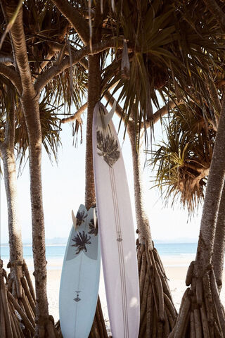 Tropical Waves of Love 🌊❤️